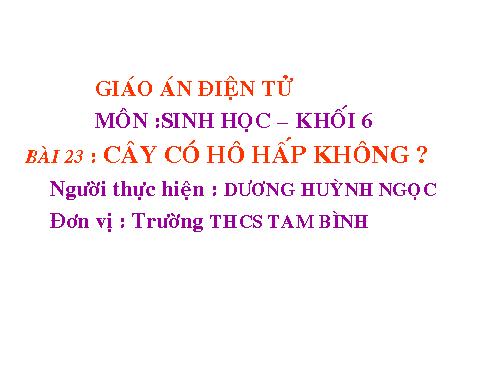 Bài 23. Cây có hô hấp không?