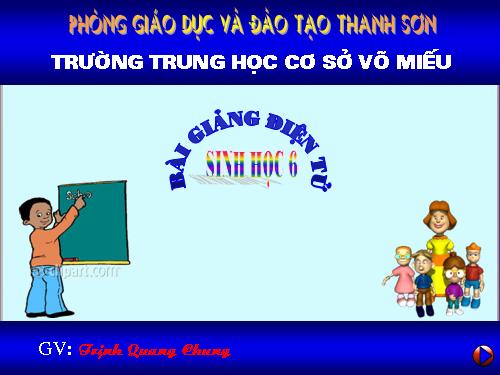 Bài 25. Biến dạng của lá