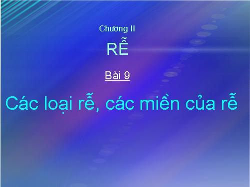 Bài 9. Các loại rễ, các miền của rễ