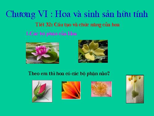 Bài 28. Cấu tạo và chức năng của hoa