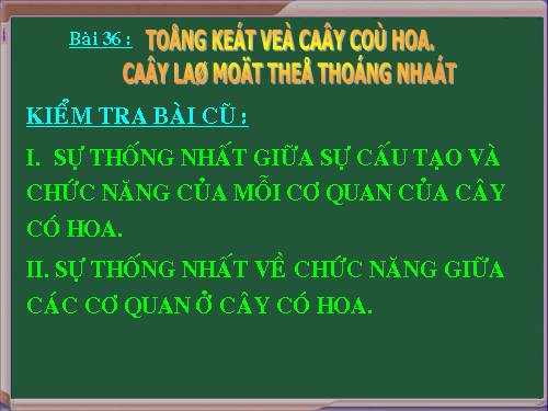 Bài 36. Tổng kết về cây có hoa