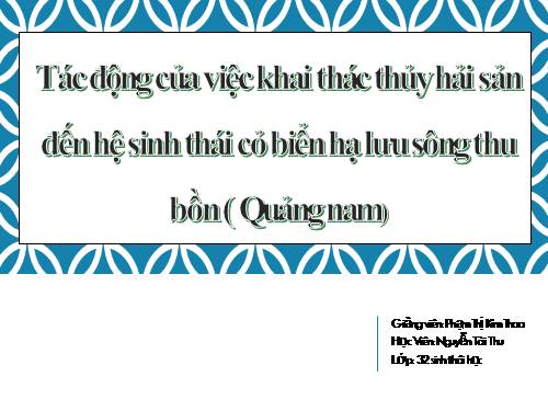 Tác động của khai thác thủy hải sản đến thảm cỏ biển khu vực hạ lưu sông Thu Bồn