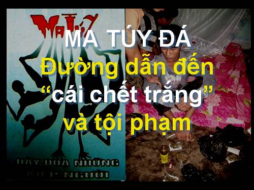 BÀI THI VẬN DỤNG KIẾN THỨC LIÊN MÔN-MA TÚY ĐÁ