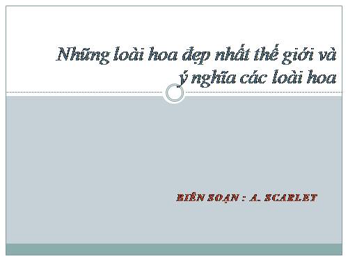 Những loài hoa đẹp nhất thế giới và ý nghĩa các loài hoa