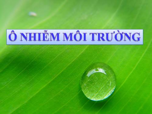 Ô nhiễm môi trường