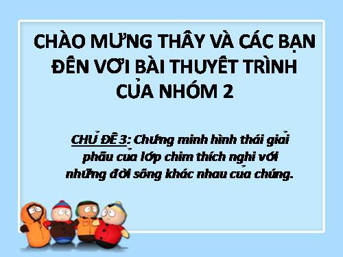 hình thái chim phù hợp với chức năng