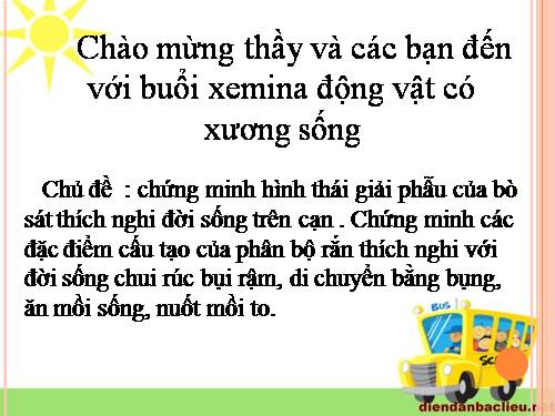 động vật