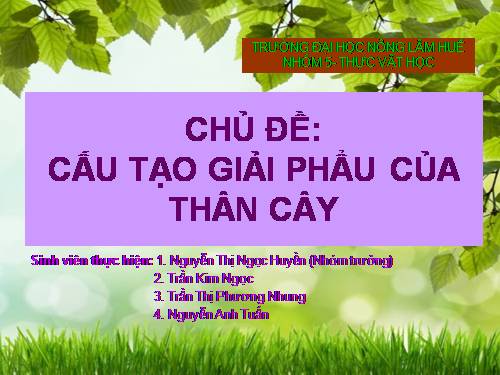 cấu tạo giải phẩu thân