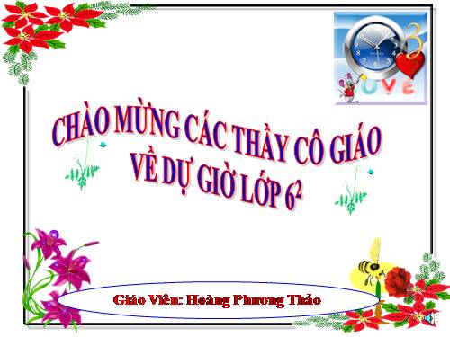 Đặc điểm cấu tạo ngoài của lá