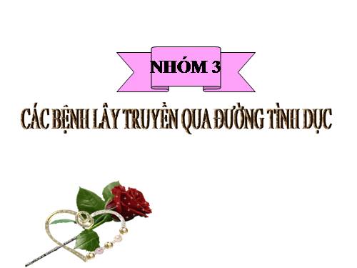 sản phẩm của nhóm 3