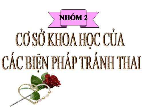 sản phẩm của nhóm 2