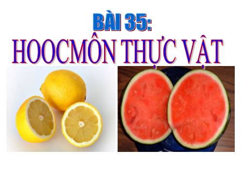 Bai: Hoocmon thuc vat