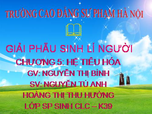 giải phẫu sinh lý người