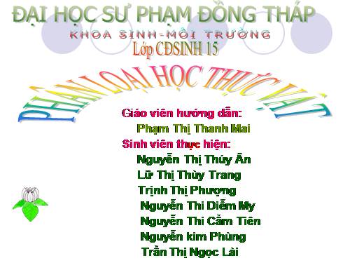 bai seminar phân lớp cúc