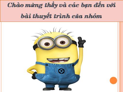 cá sụn