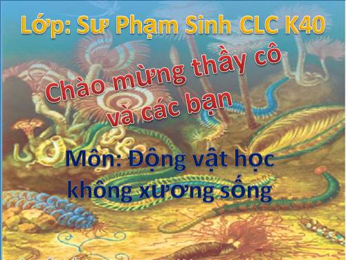 ngành chấn khớp- ĐVKXS