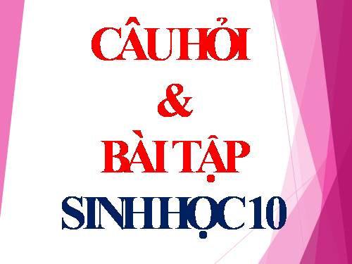 cau hỏi tự luận sinh 10