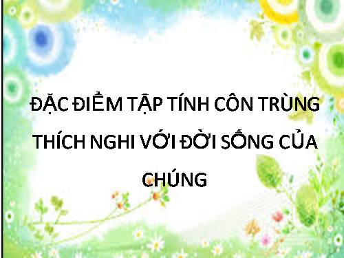 đặc điểm tập tính của côn trùng