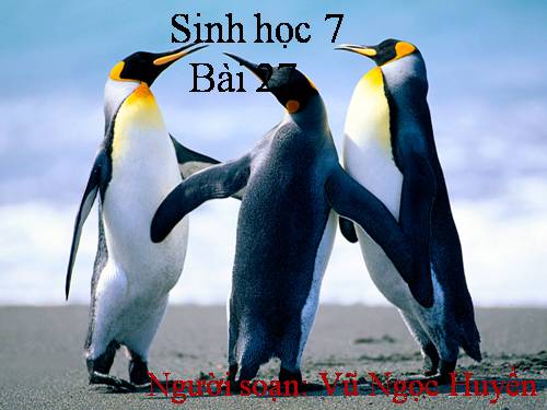 bai 27 sinh hoc
