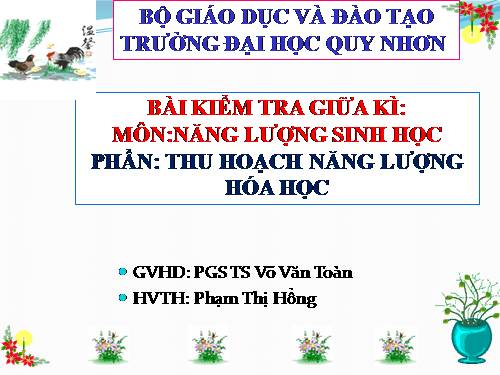 NANG LUONG SINH HOC 12