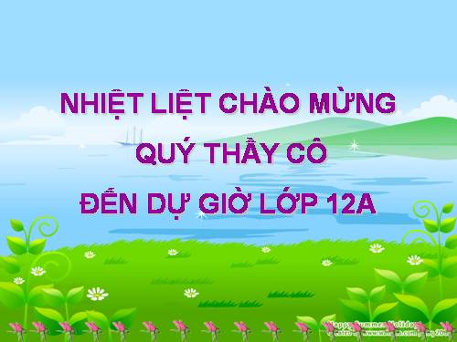 bài 24: các bằng chứng tiến hóa