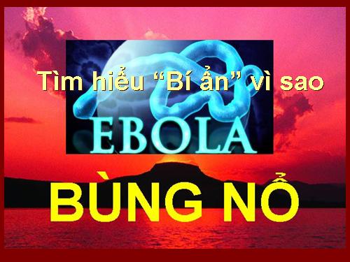 Bí ẩn của VR ebola.ppt