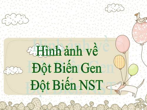 Một số hình ảnh về đột biến