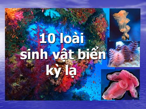 10 sinh vật biển kỳ lạ.ppt