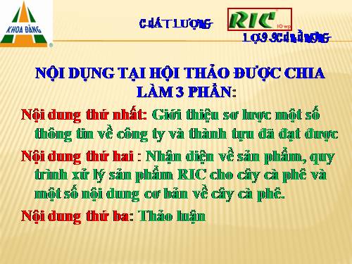 Phục hồi cà phê vàng lá