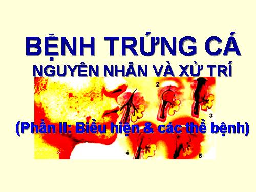 BỆNH TRỨNG CÁ (PII).ppt