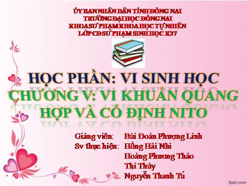 Vi khuẩn quang hợp