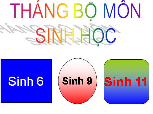 Duoi hinh bat chu sinh hoc