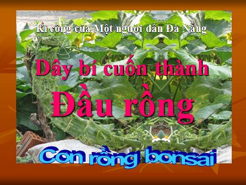 Dây bí cuốn thành Rồng