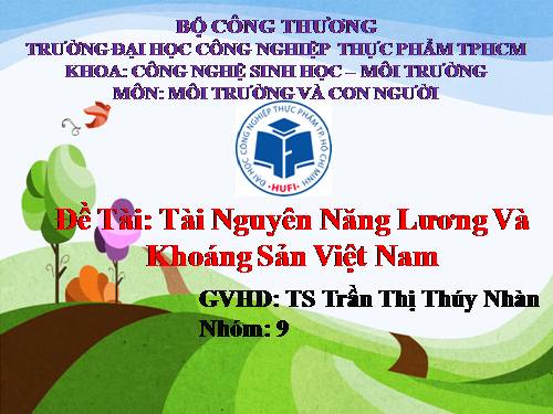 TIỂU LUẬN TÀI NGUYÊN NĂNG LƯỢNG VÀ KHOÁNG SẢN VN