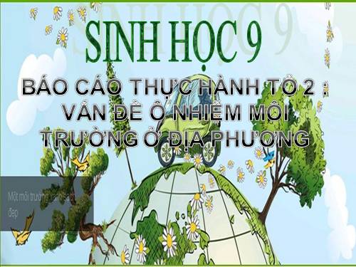 Bài thục hành về vấn đề ô nhiễm môi trường ở địa phươngTP.HẠ LONG tốt nhất by min