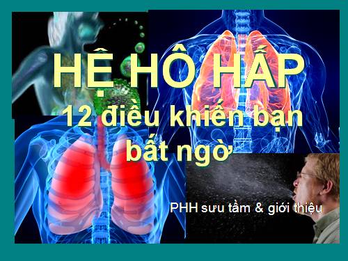 12 điều lạvề hệ hô hấp