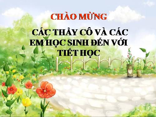 Tiết 52_ Lớp Hai lá mầm và lớp Một