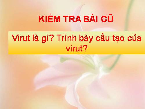 Bài 30: Sự nhân lên của virut trong tế bào chủ