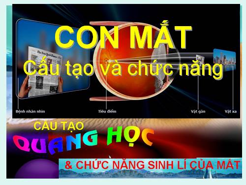 Cấu tạo & chức năng mắt .ppt