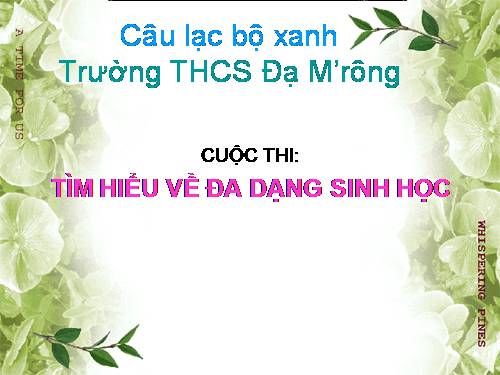 MỘT  SỐCÂU HOI THI TÌM HIỂU ĐA DẠNG SINH HỌC