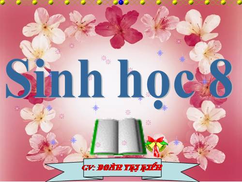 Tiết 22 sinh 8 bai hoat dong ho hap