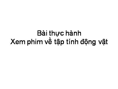 Tập tính động vật