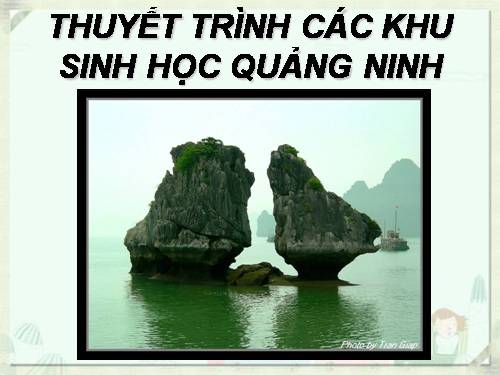 Khu sinh thái ở Quảng Ninh