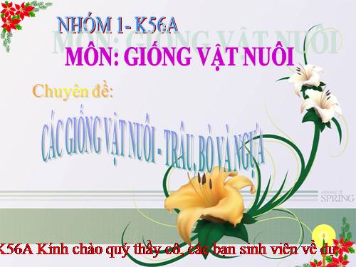 Giống Vật nuôi, Trâu Bò Ngựa!