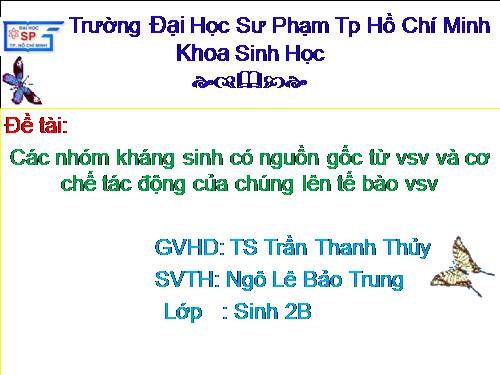 Các nhóm kháng sinh có nguồn gốc từ vsv và cơ chế tác động của chúng