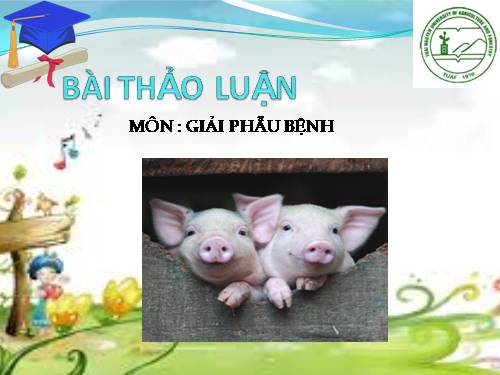 tụ huyết trùng và phó thương hàn