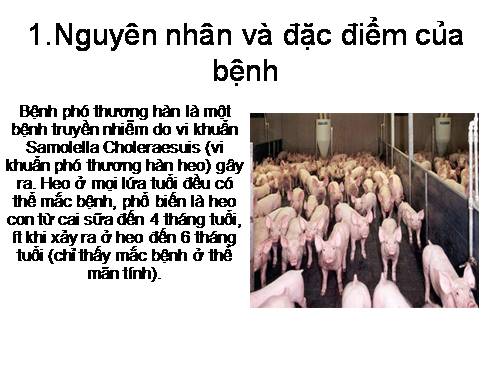 bệnh tụ huyết trùng và phó thương hàn