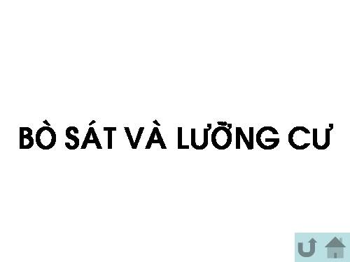 Bò sát và Lưỡng cư