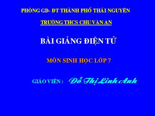 Bài 9 Đa dạng của ngành ruột khoang