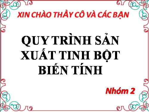 quy trinh san xuat tinh bot bien tinh